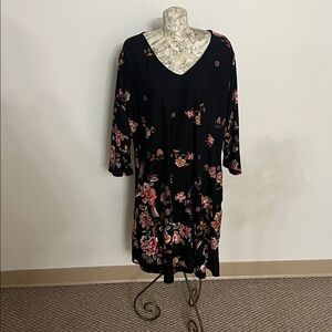 💙2/$35 #87 3X pioneer woman dress with pockets